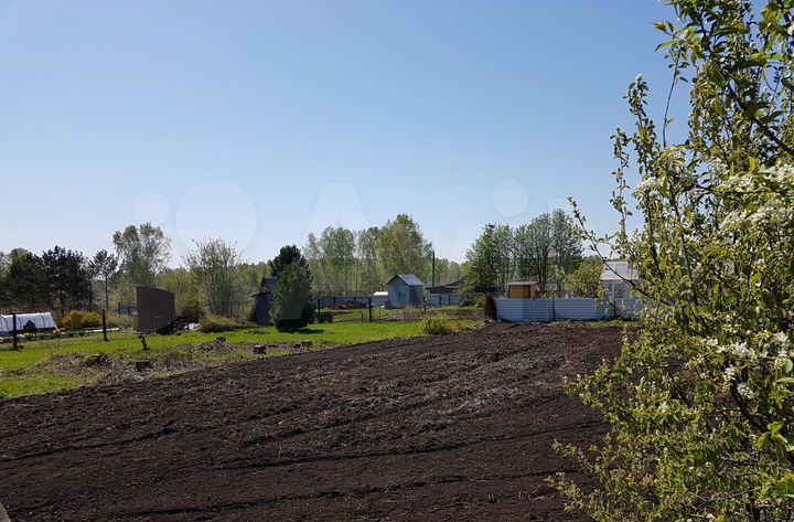 Участок 8 сот. (СНТ, ДНП)