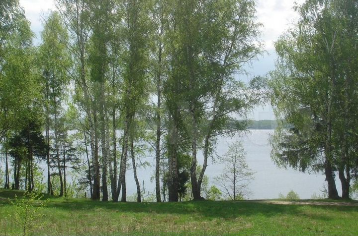 Участок 10 сот. (СНТ, ДНП)