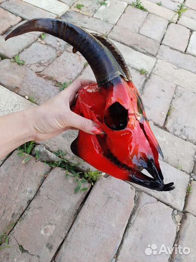 Череп с аэрографией Анархия