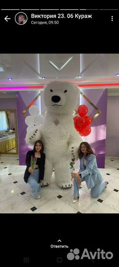 Белый мишка поздравление