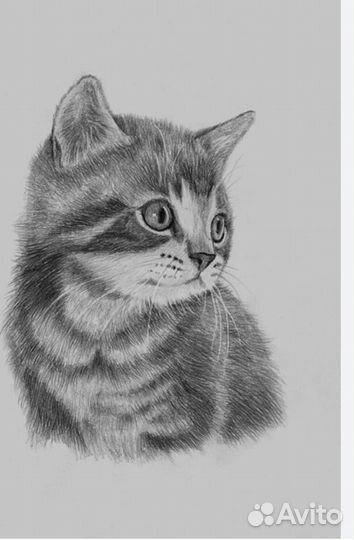 Рисую разные предметы,животные,людей,природу