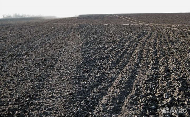 Спил деревьев расчистка участка измельчитель веток