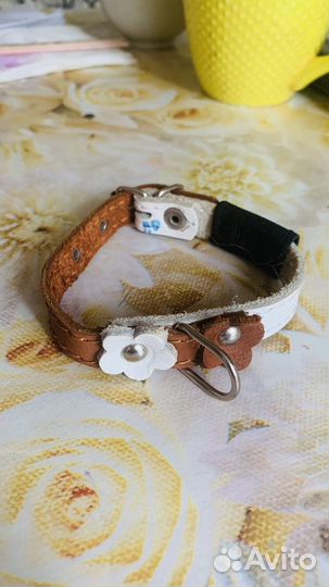 Ошейник для маленькой собаки