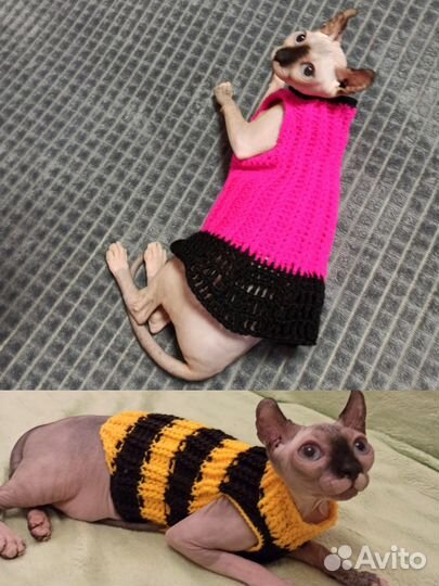 Вязаная одежда для сфинкса