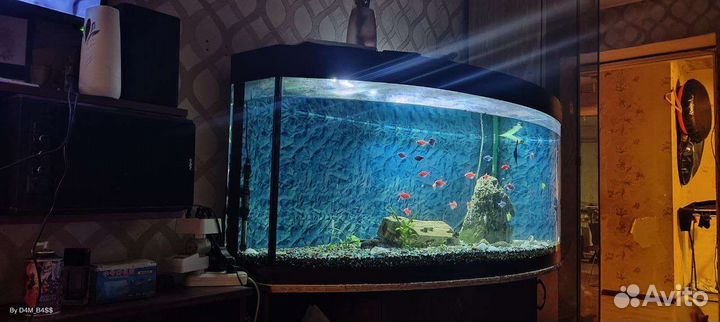 Аквариум 400л с тумбой