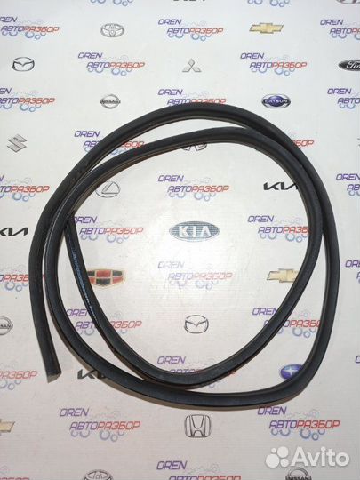 Уплотнитель проема двери передний левый Renault