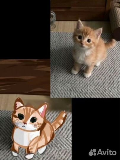 Обрисовка животных