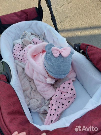 Коляска 2 в 1 nord line