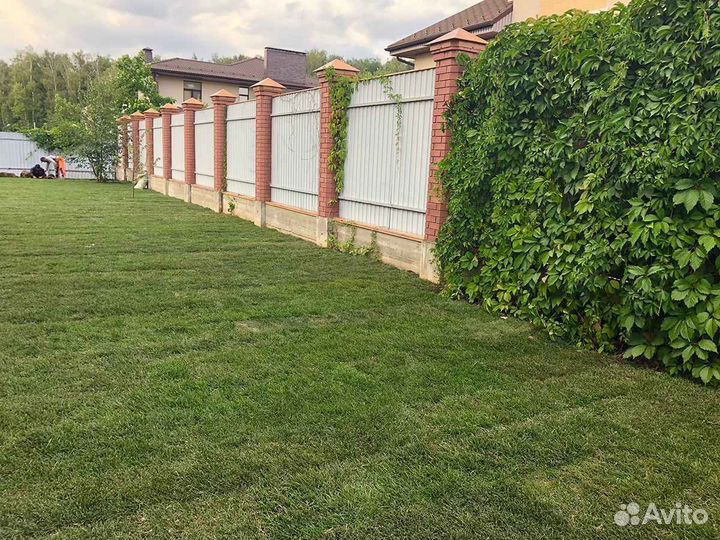 Рулонный газон, укладка, продажа