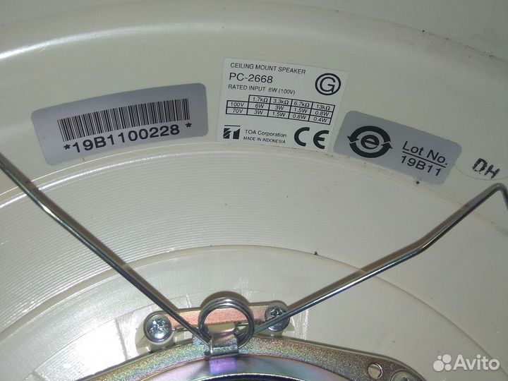 Динамик 100В