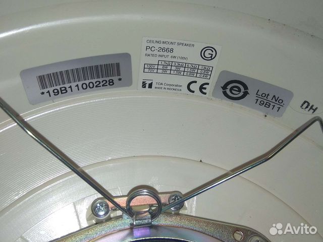 Динамик 100В