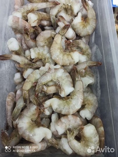 Тигровые креветки