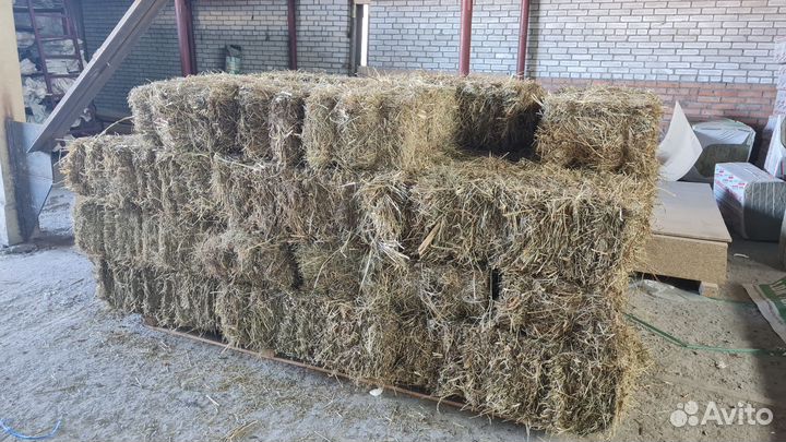 Сено в брикетах 13-16 кг