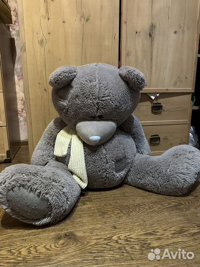 Плюшевый мишка