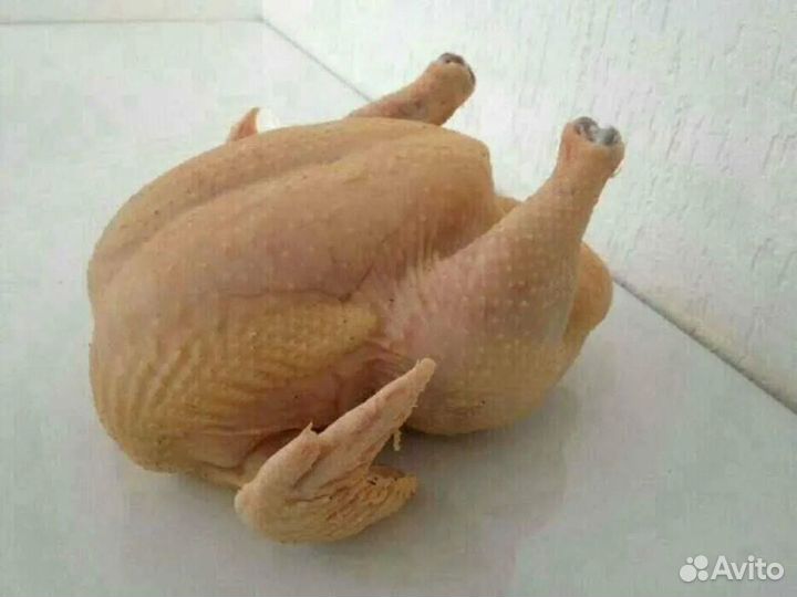 Мясо бролера