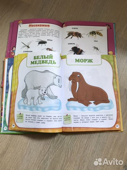 Детские книги для малышей