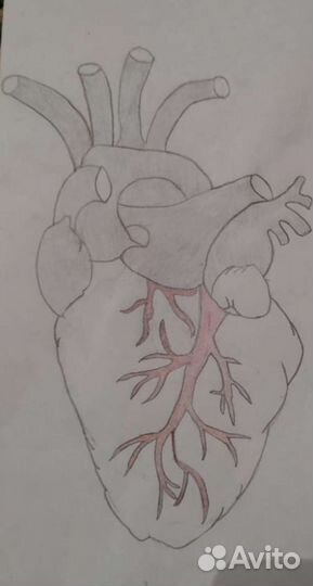 Рисунки на заказ