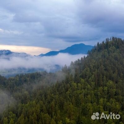 15июн24 Тур «Алтайская кругосветка» /рэ3011