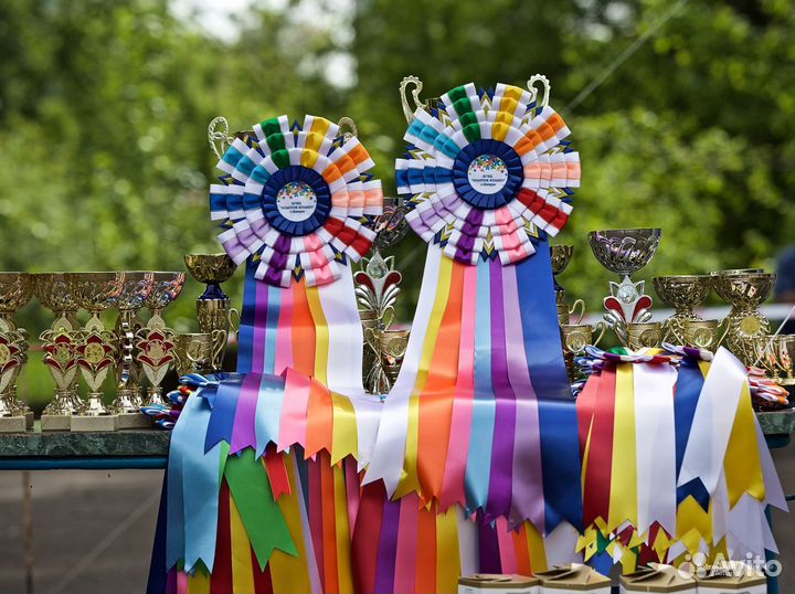 Наградные розетки