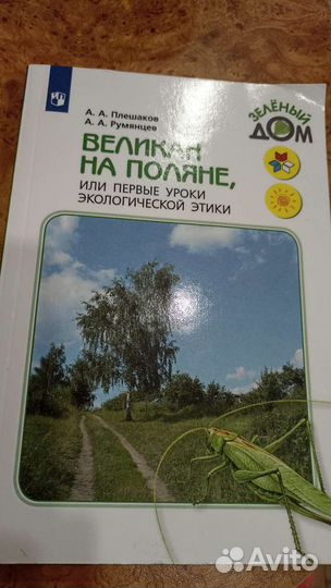 Великан на поляне