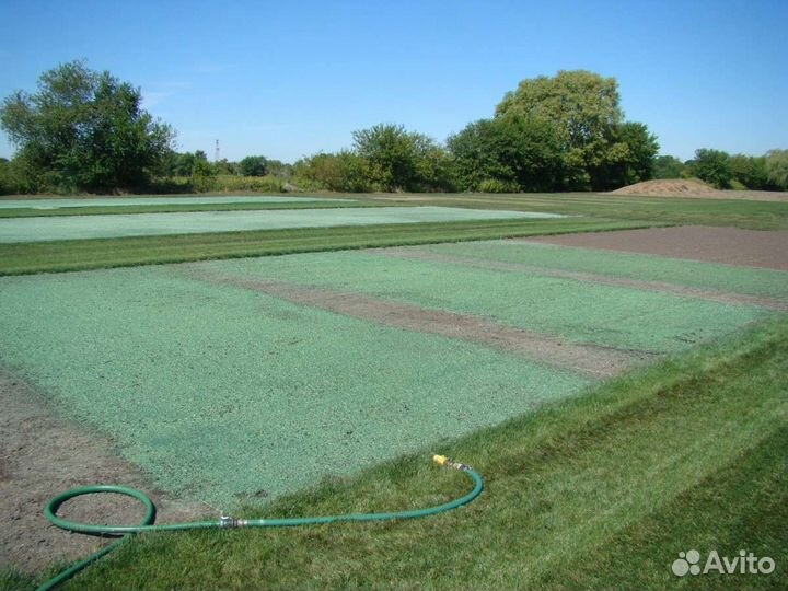 Гидропосев газона