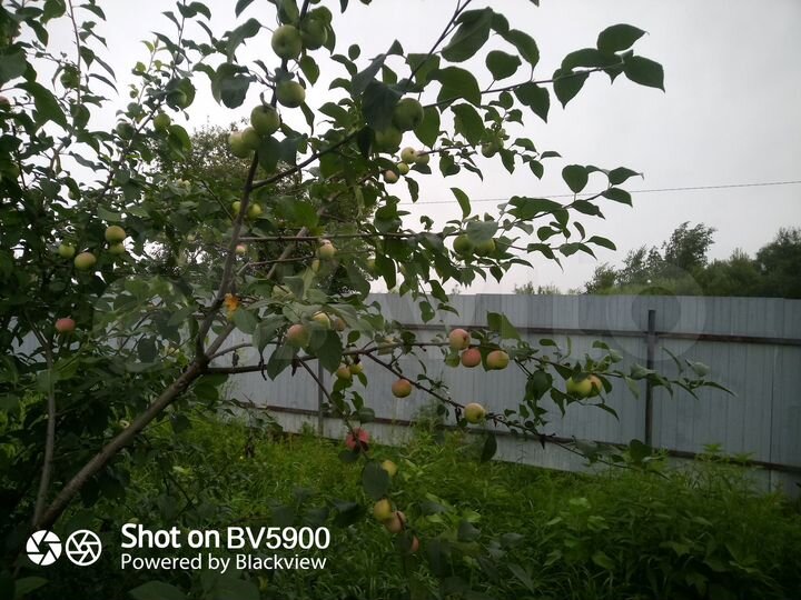 Дом 31,5 м² на участке 15 сот.