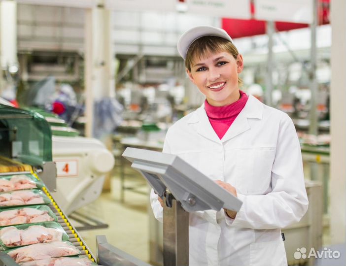 Работа без опыта.Мойщик оборудования. Птицефабрика