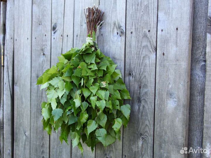 Берёзовые веники