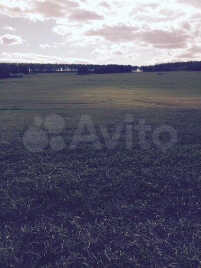 Участок 5,69 га (СНТ, ДНП)