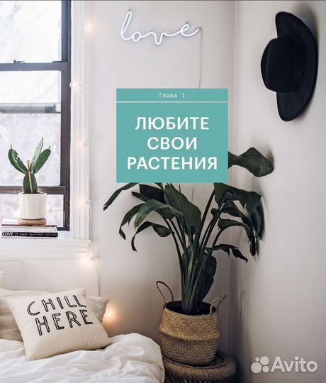 Книга растения в интерьере новая