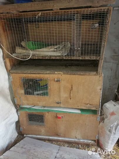 Клетка для перепелов, бруддер