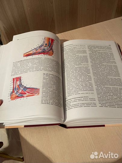 Сергиенко топографическая анатомия учебник