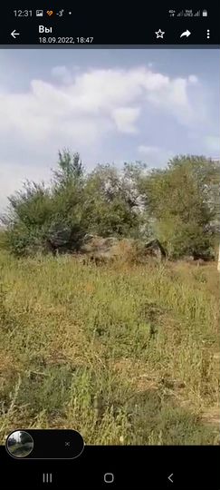 Участок 34 сот. (ИЖС)