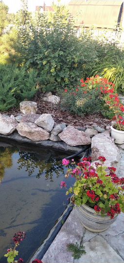 Дача 45 м² на участке 4,5 сот.