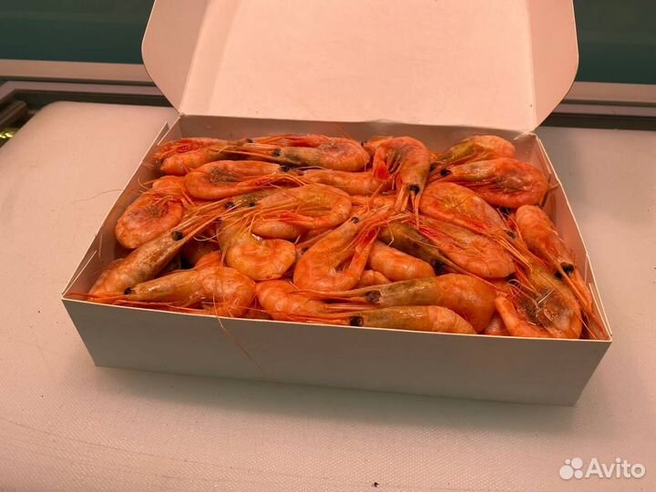 Креветка северная. Крупные. Опт