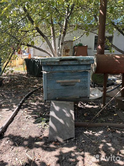 Продам ульи для пчел