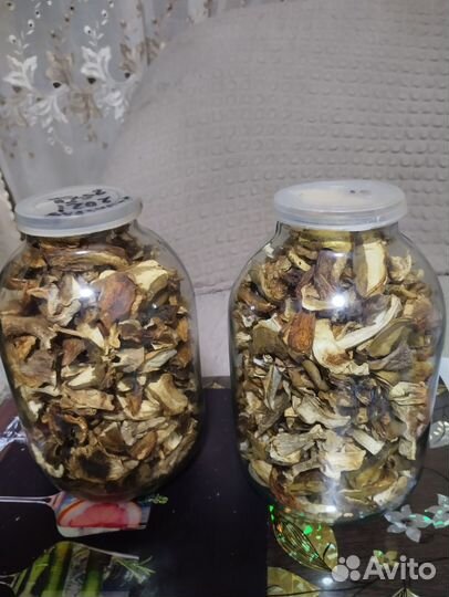 Грибы рыжики соленые и белые сухие сбор 2023 г