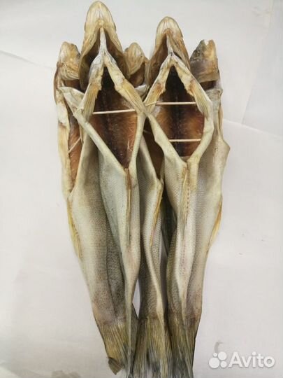 Рыба Судак (потрашеный) вял. цена за кг