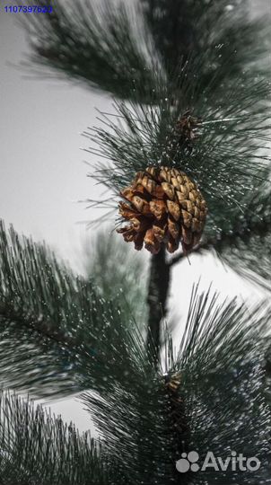 Ёлка искусственная новая + авитодоставка