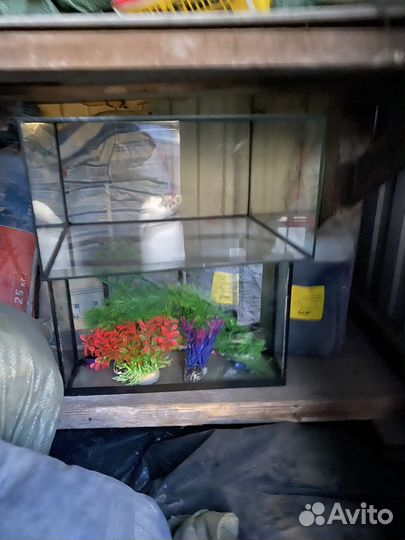 Аквариум