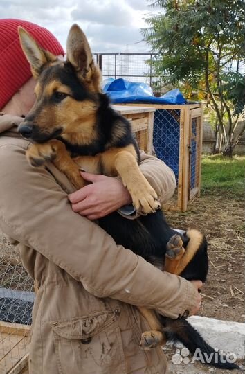 Молоденькая девочка в приюте