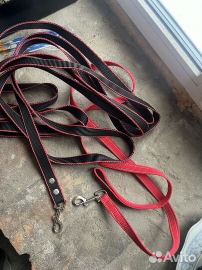 Поводок для собак цена за все