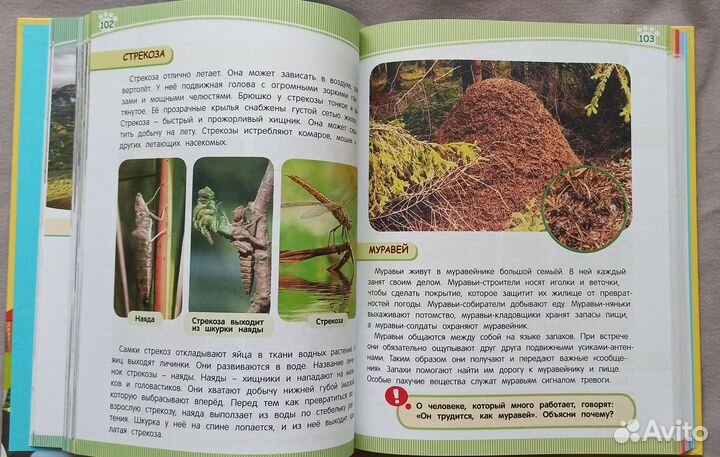 Детская энциклопедия