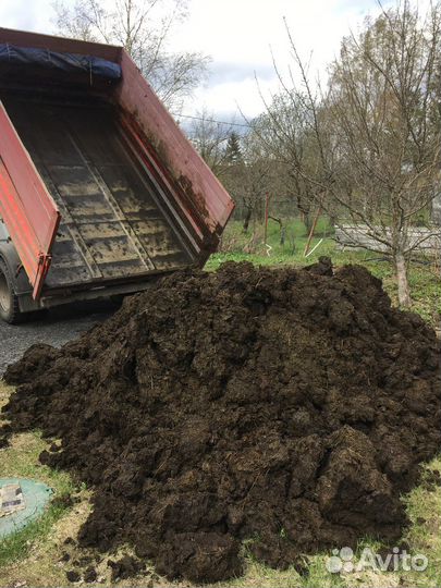 Навоз коровий