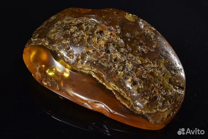 Янтарь с включениями растений (инклюз). Лот №755