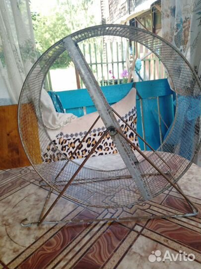 Колесо для шиншиллы