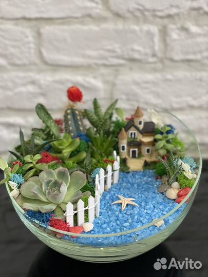 Флорариумы на учителю,воспитателю