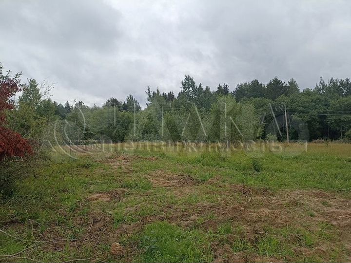 Участок 12,5 сот. (ИЖС)