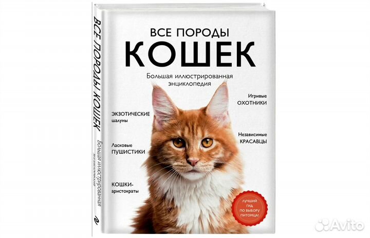 Все породы кошек. Большая энциклопедия. Новые