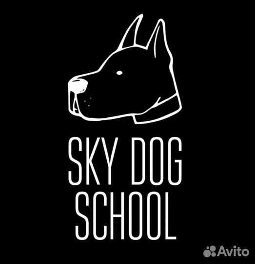 Услуги кинолога